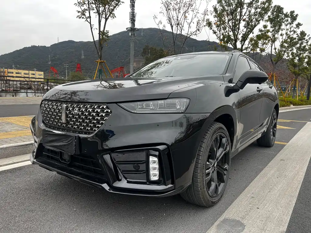 WEI PAI WEI BRAND VV7