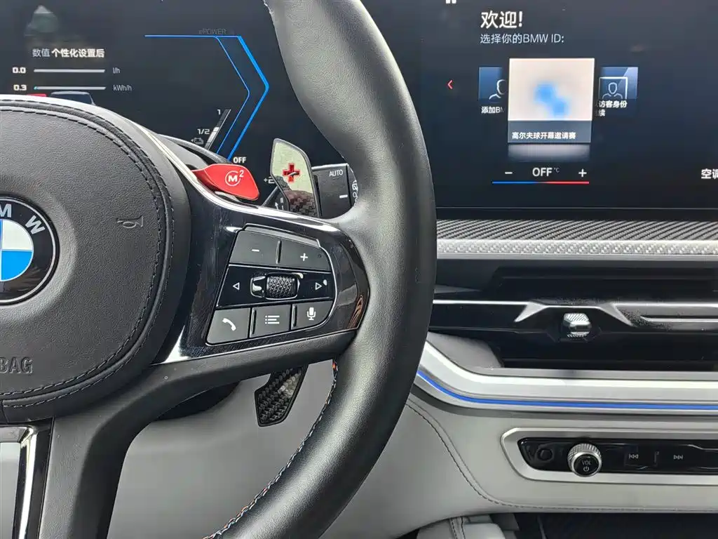 BMW XM Basic Type, фото 16