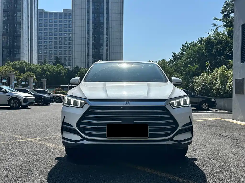 BYD Pro New Energy — миниатюра 2