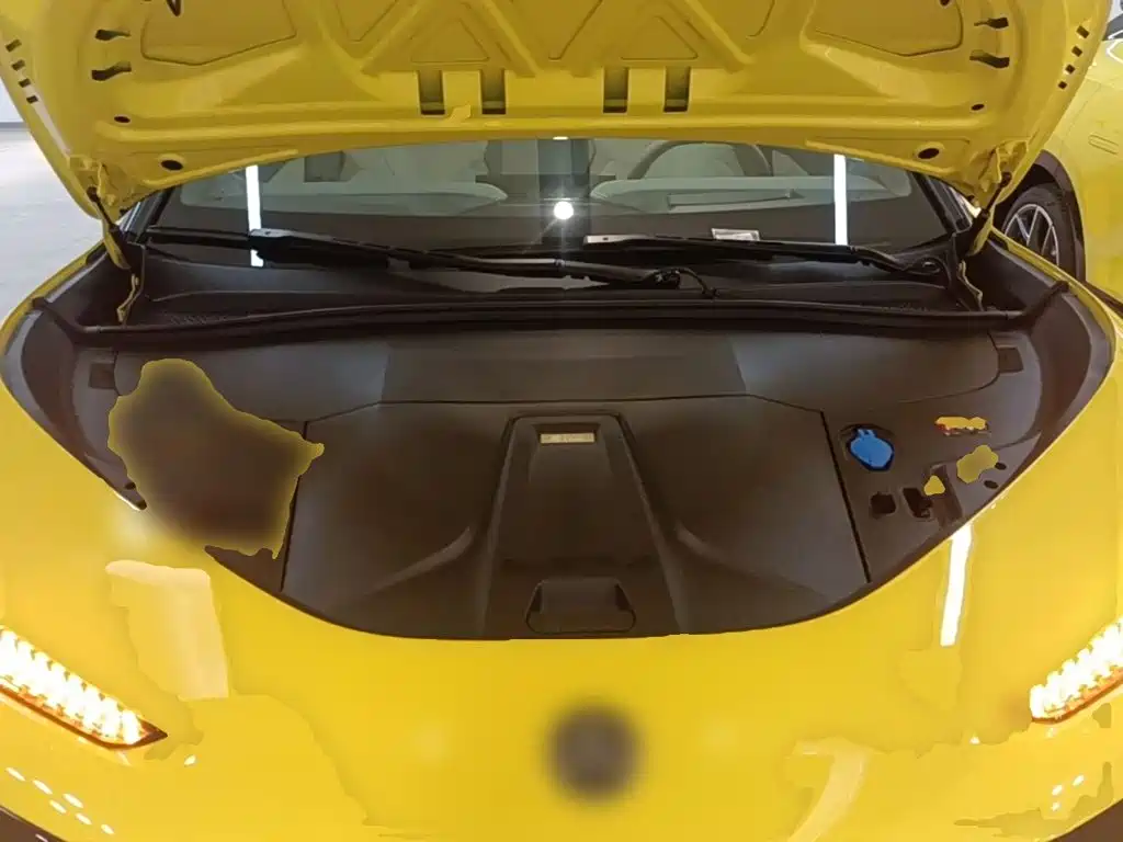 Lotus Eletre — миниатюра 20