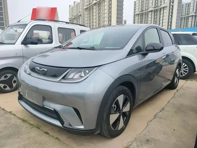 2023 BYD Dolphin