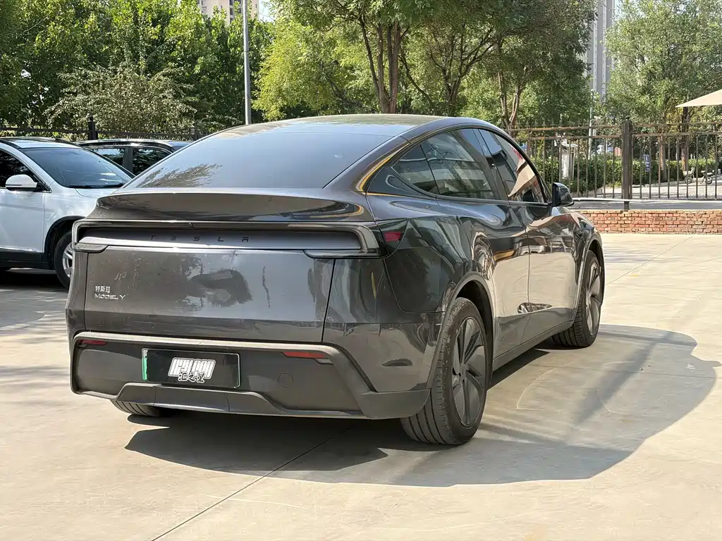 Tesla Model Y — миниатюра 2