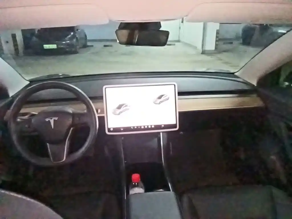 Tesla Model 3 — миниатюра 5