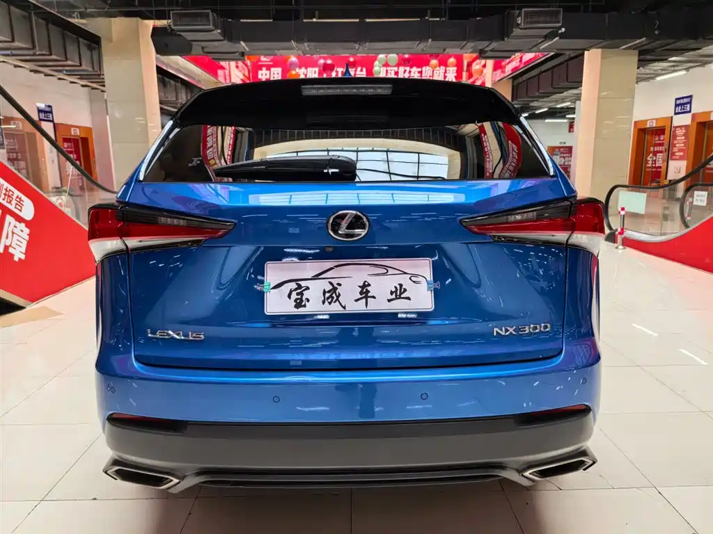 LEXUS NX