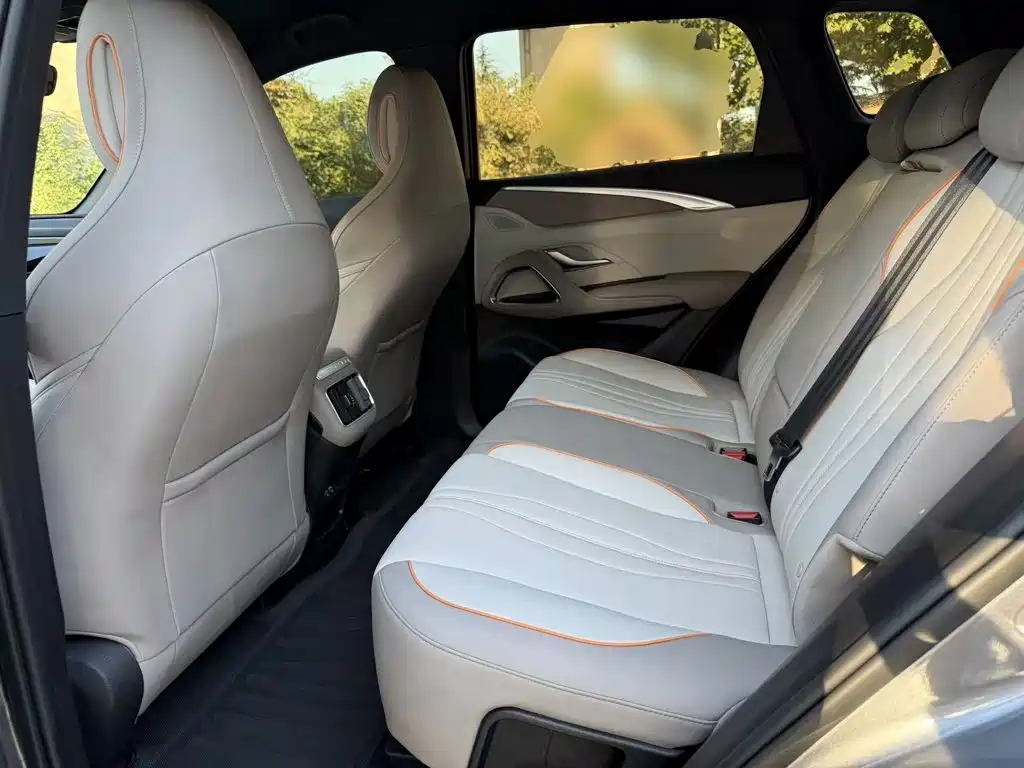 BYD Pro New Energy — миниатюра 17