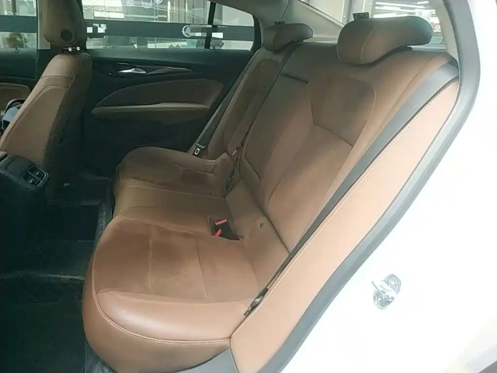 Buick Regal — миниатюра 17