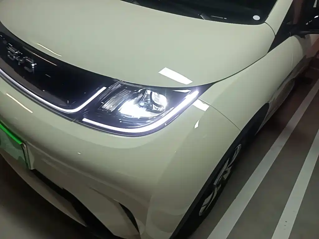 BYD Dolphin — миниатюра 24
