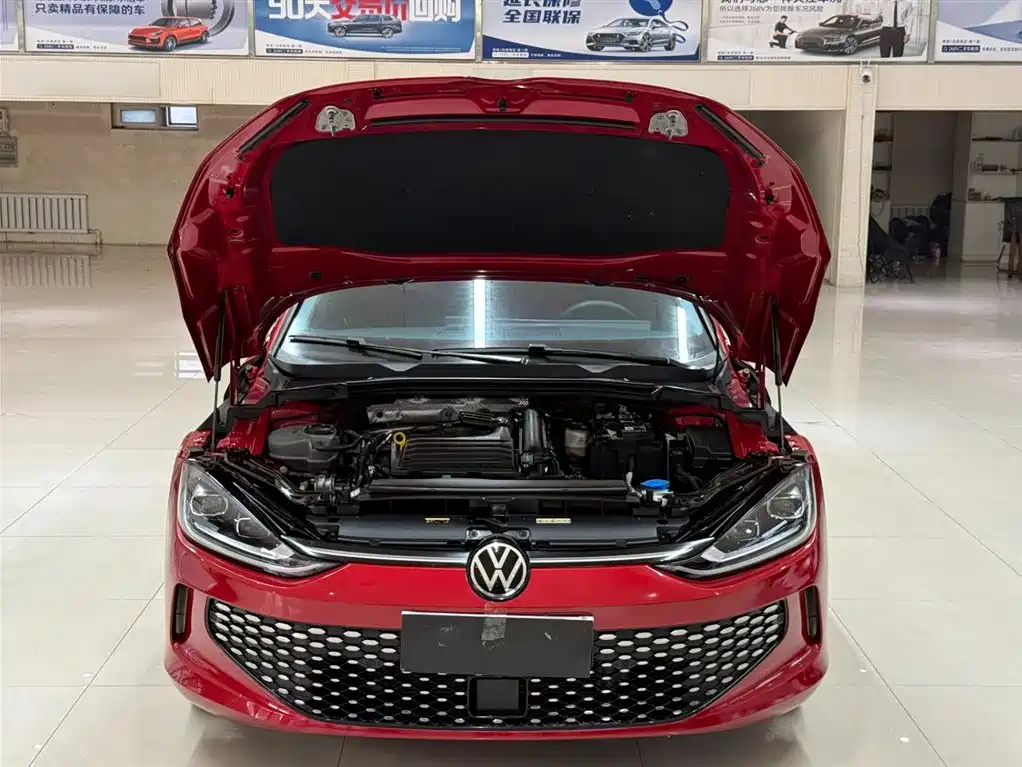 VOLKSWAGEN LINGDU