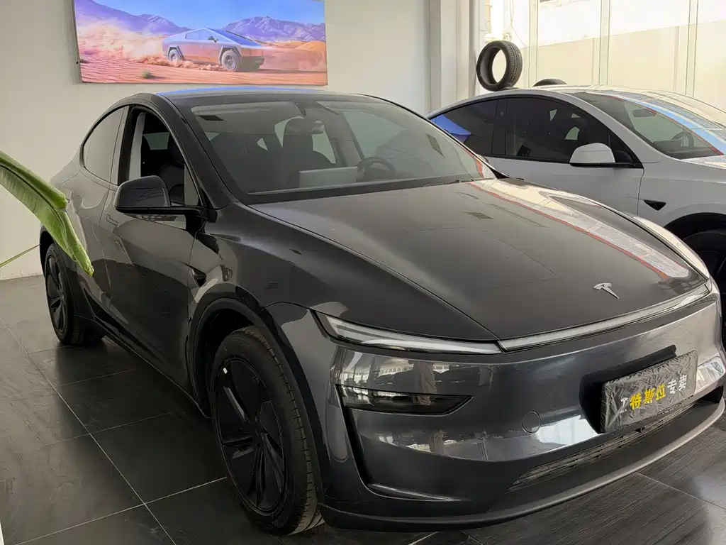 Tesla Model Y — миниатюра 3