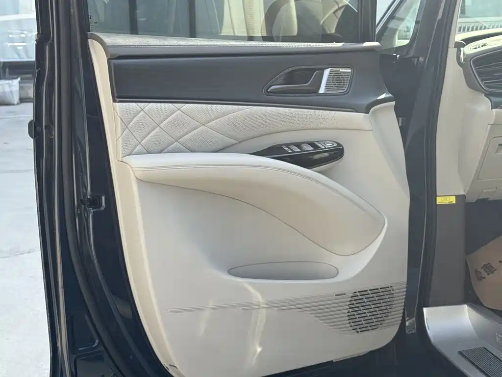 Denza Denza D9 — миниатюра 14