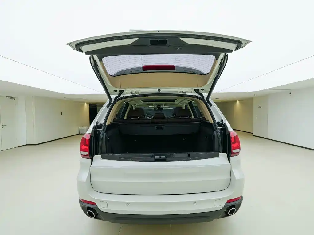 BMW X5 (Import) — миниатюра 8
