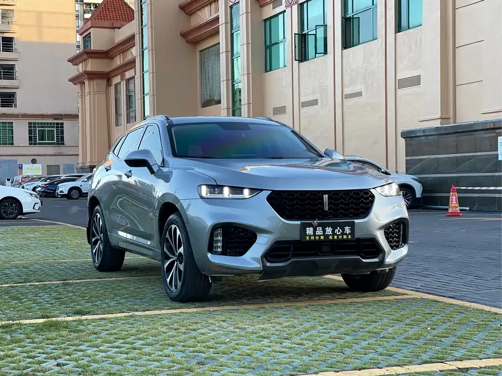 WEI PAI WEI BRAND VV7