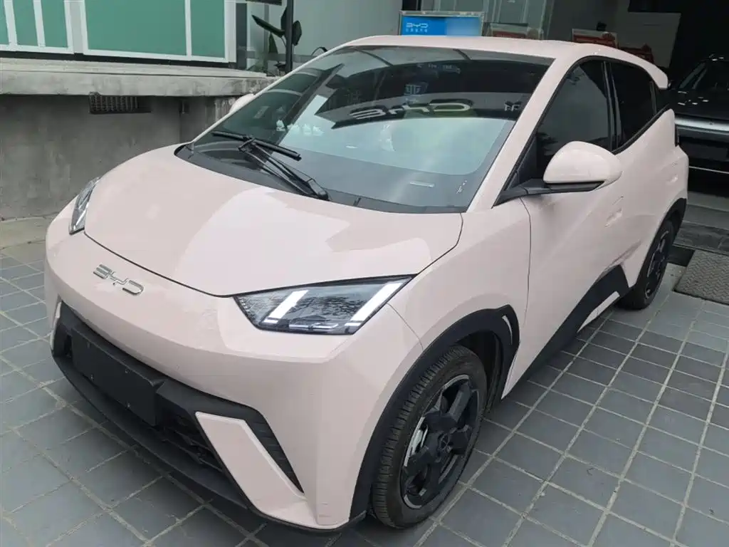 Byd Seagull 2024