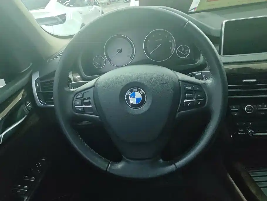 BMW X5 (Import) — миниатюра 15