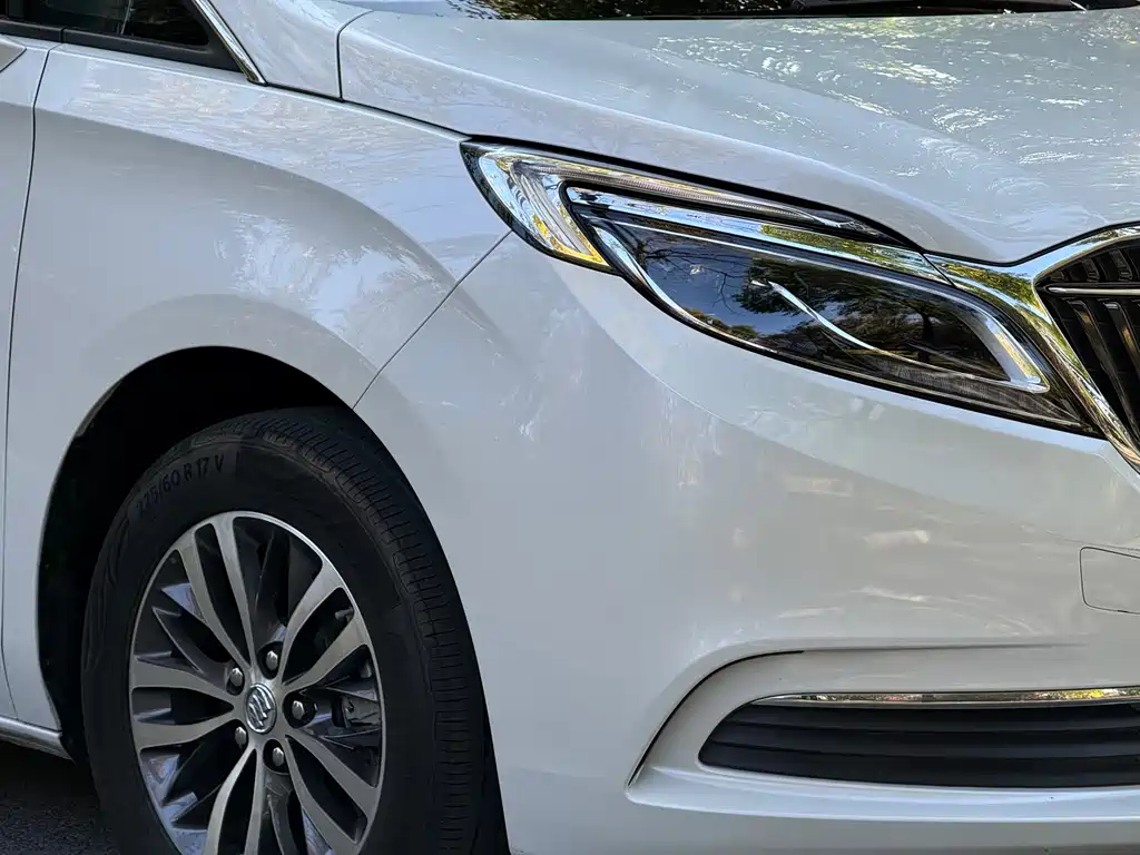 Buick GL8 — миниатюра 5