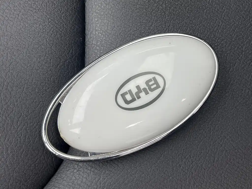 BYD Song — миниатюра 14