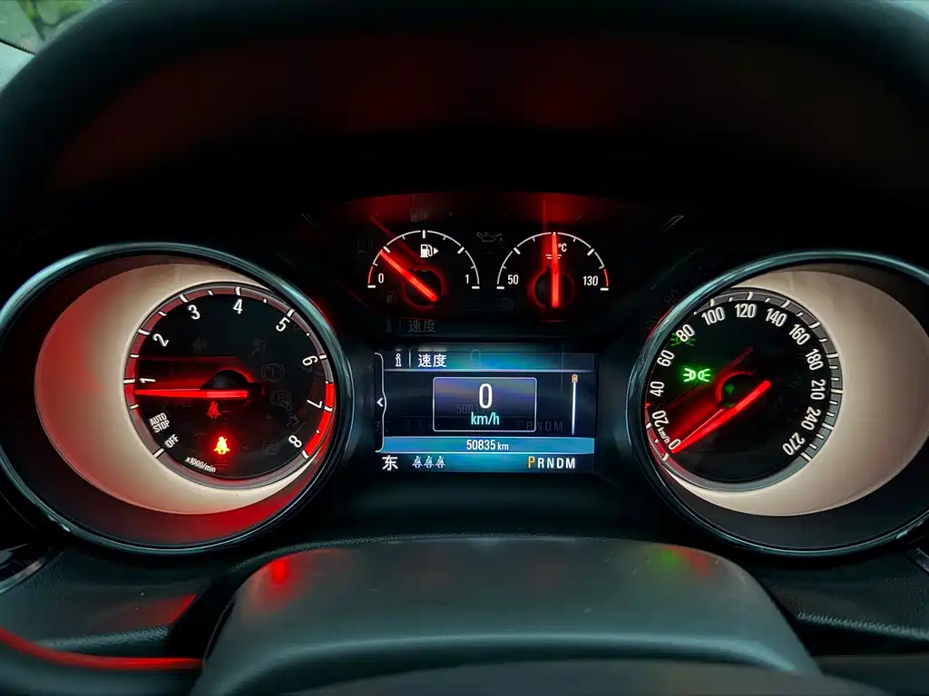 Buick Regal — миниатюра 16