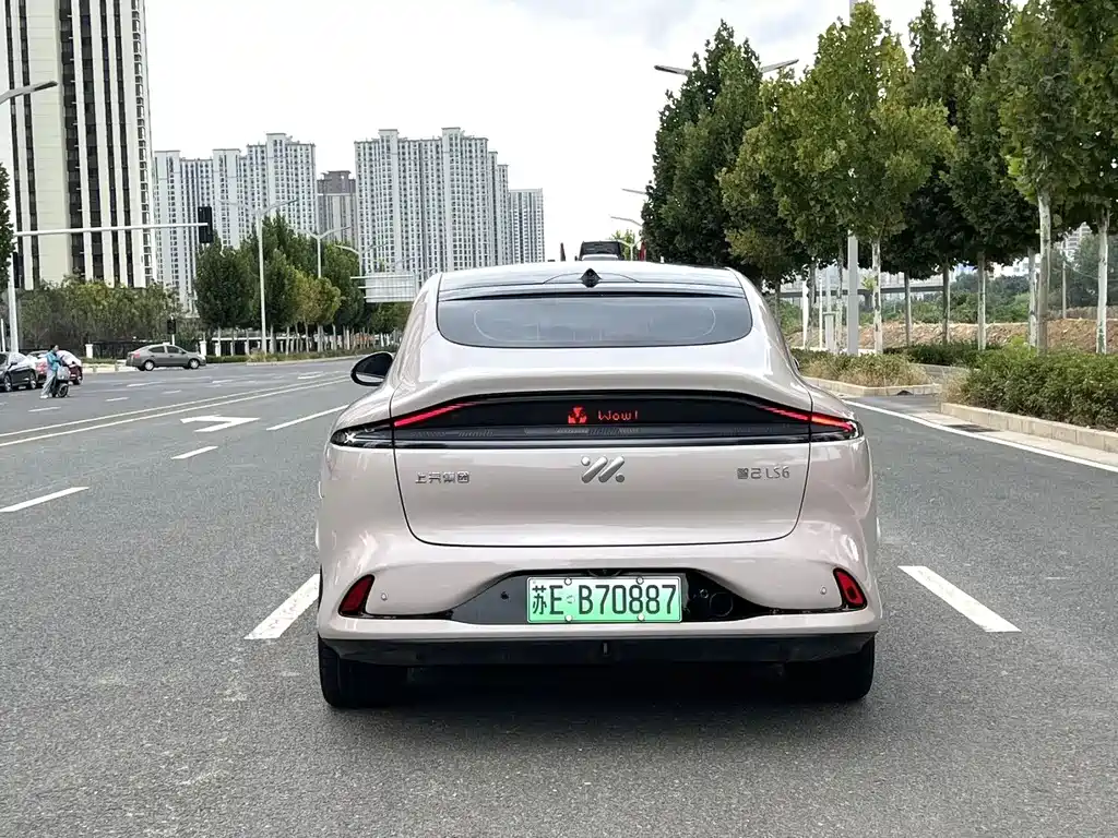 IM IM LS6 — миниатюра 8