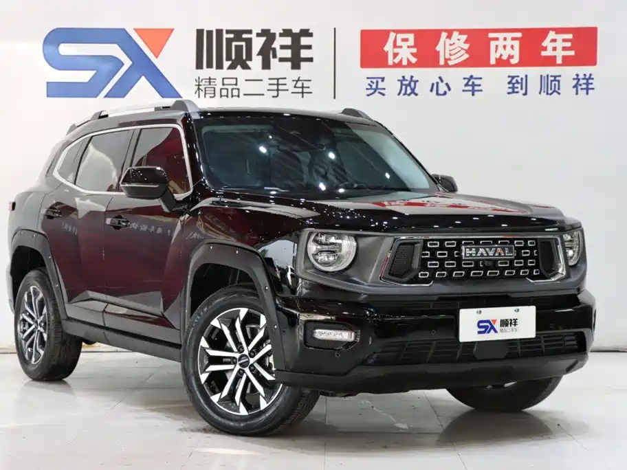 Haval Big Dog PLUS — миниатюра 3