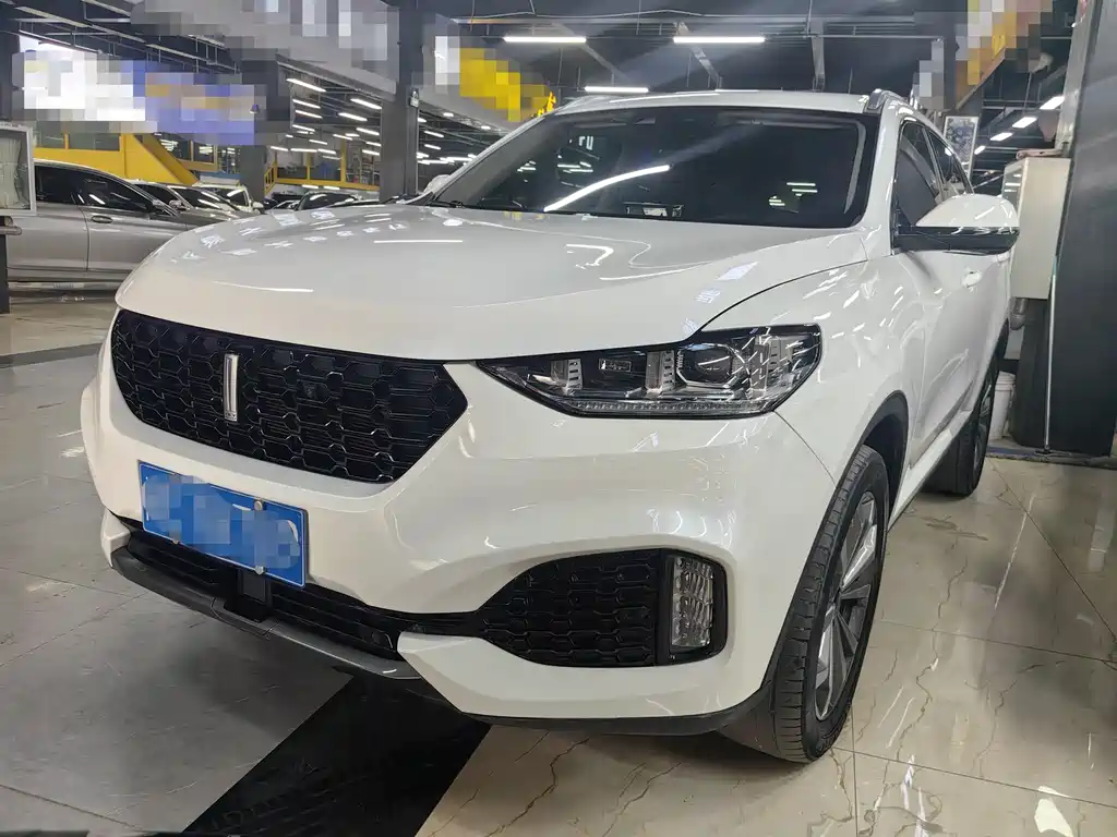 Wey Wey VV6 2019