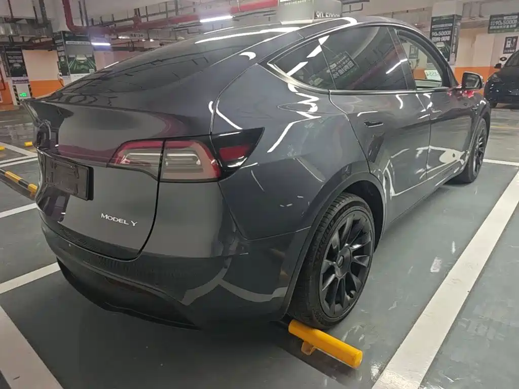 Tesla Model Y — миниатюра 7