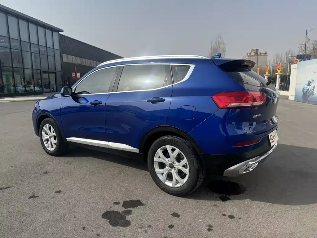 HAVAL H6