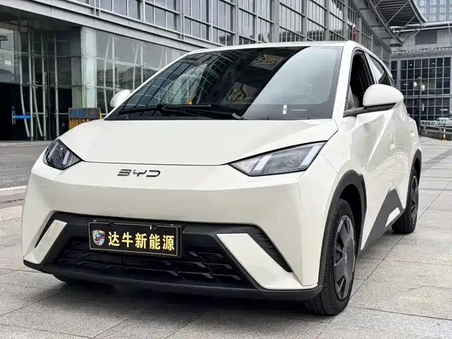BYD SEAGULL 2024