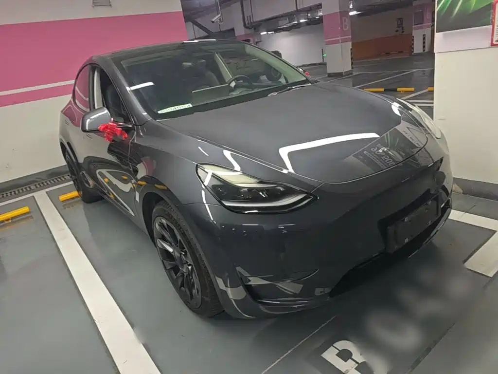Tesla Model Y — миниатюра 4