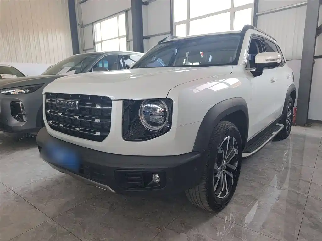 Haval Big Dog 2020