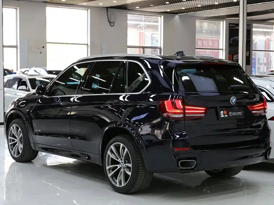 BMW X5 (Import) — миниатюра 16