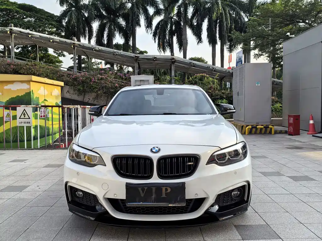 BMW 2 Series (Import) — миниатюра 2