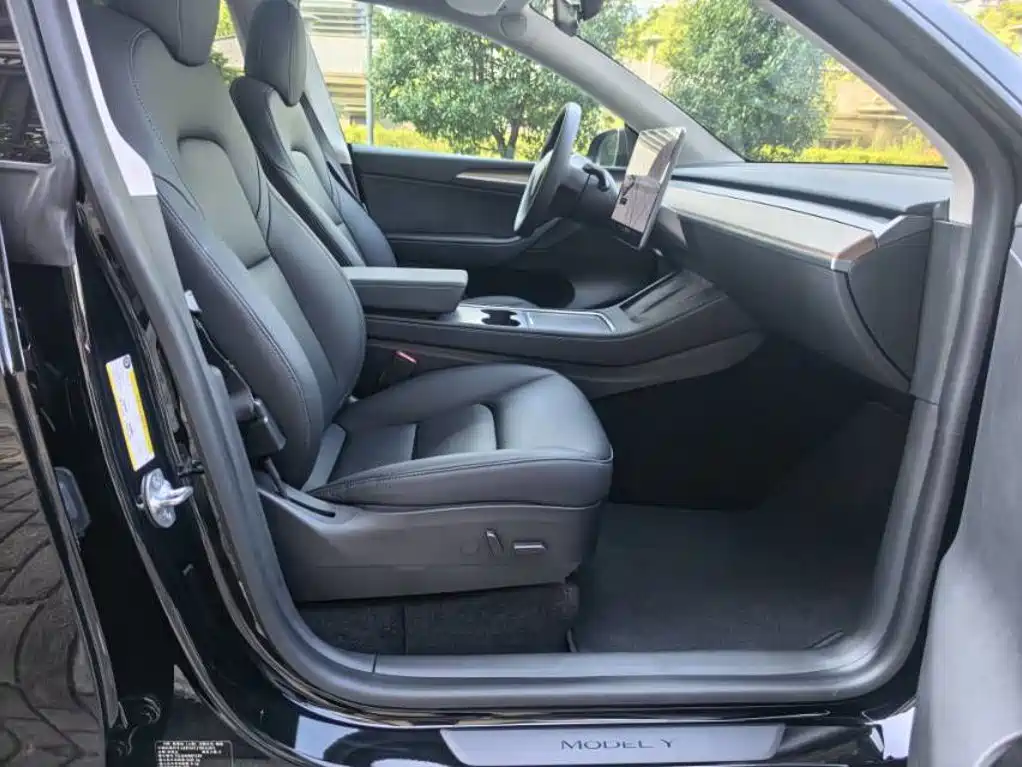 Tesla Model Y — миниатюра 9