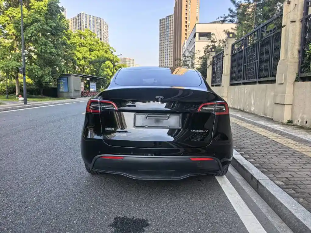 Tesla Model Y — миниатюра 5