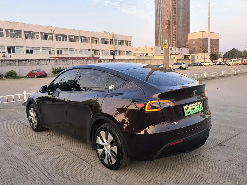 Tesla Model Y — миниатюра 4