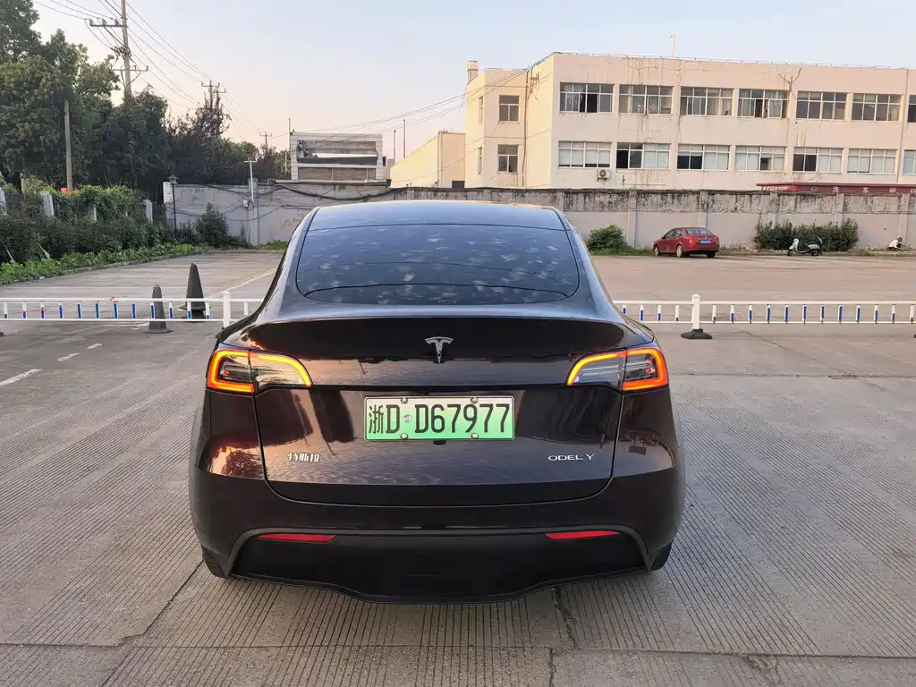 Tesla Model Y — миниатюра 5