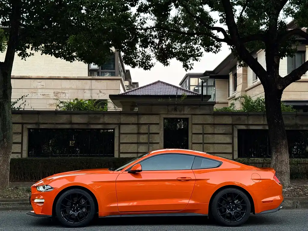 Ford Mustang — миниатюра 3