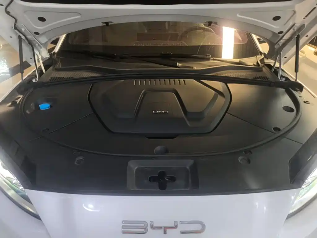 BYD PLUS New Energy — миниатюра 20