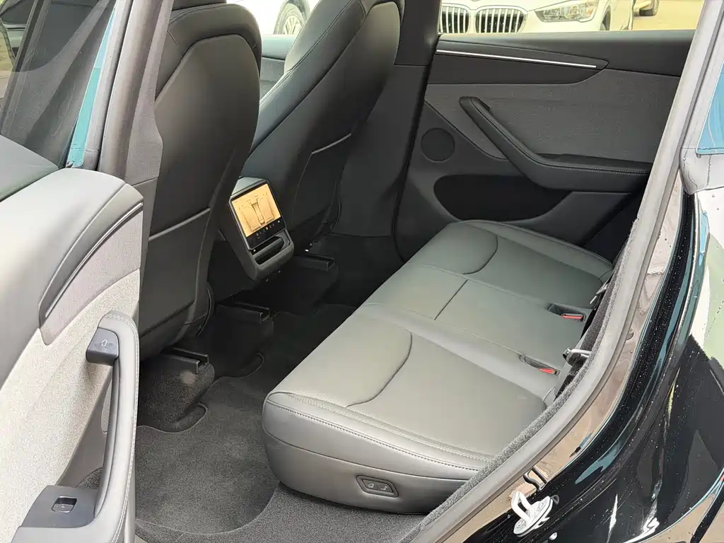 Tesla Model Y — миниатюра 8