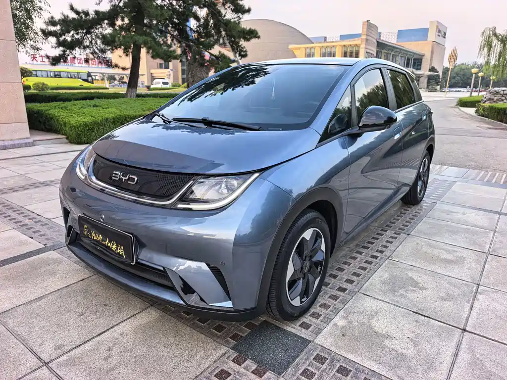 BYD Dolphin — миниатюра 3
