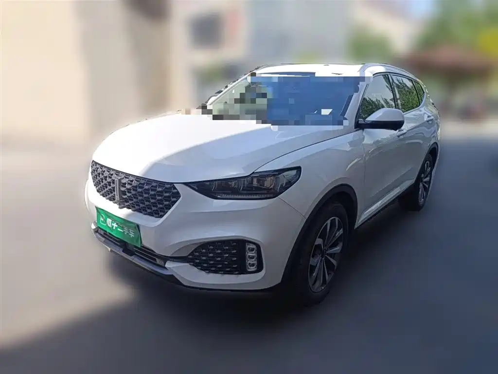 Купить Wey Wey VV6