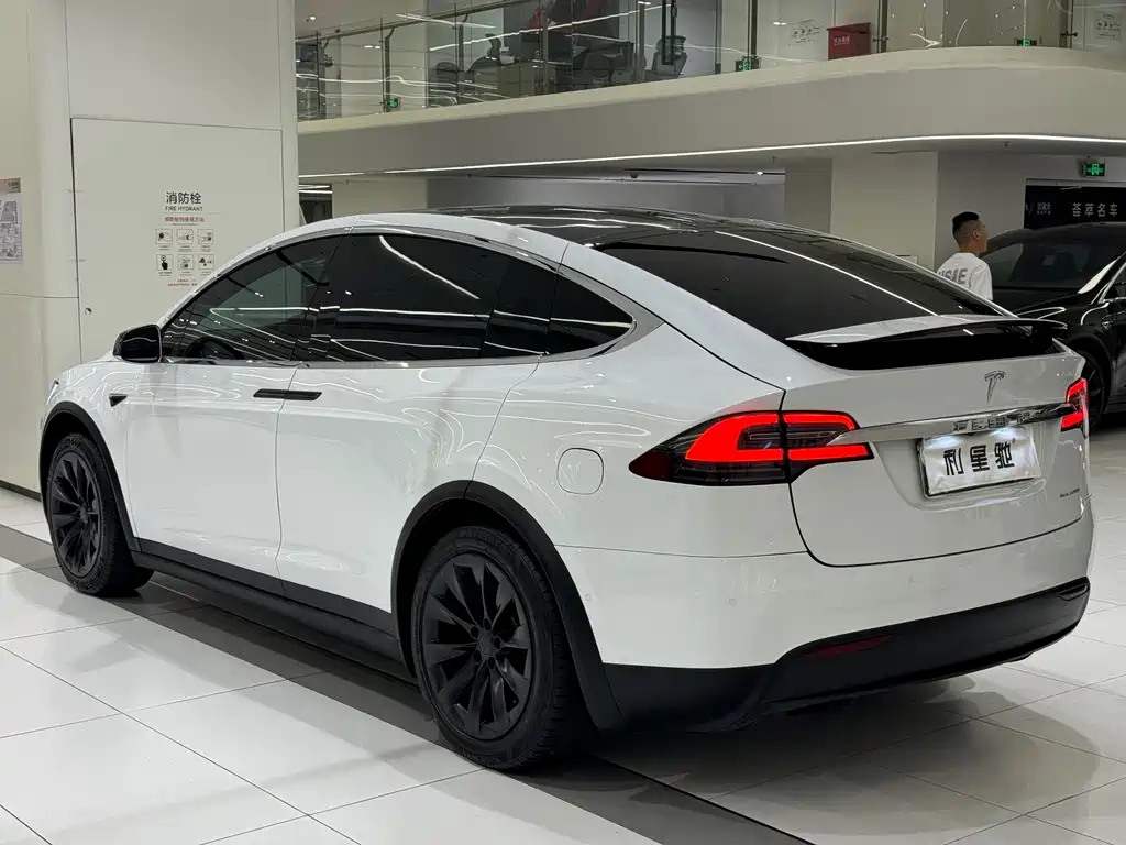 Tesla Model X — миниатюра 20