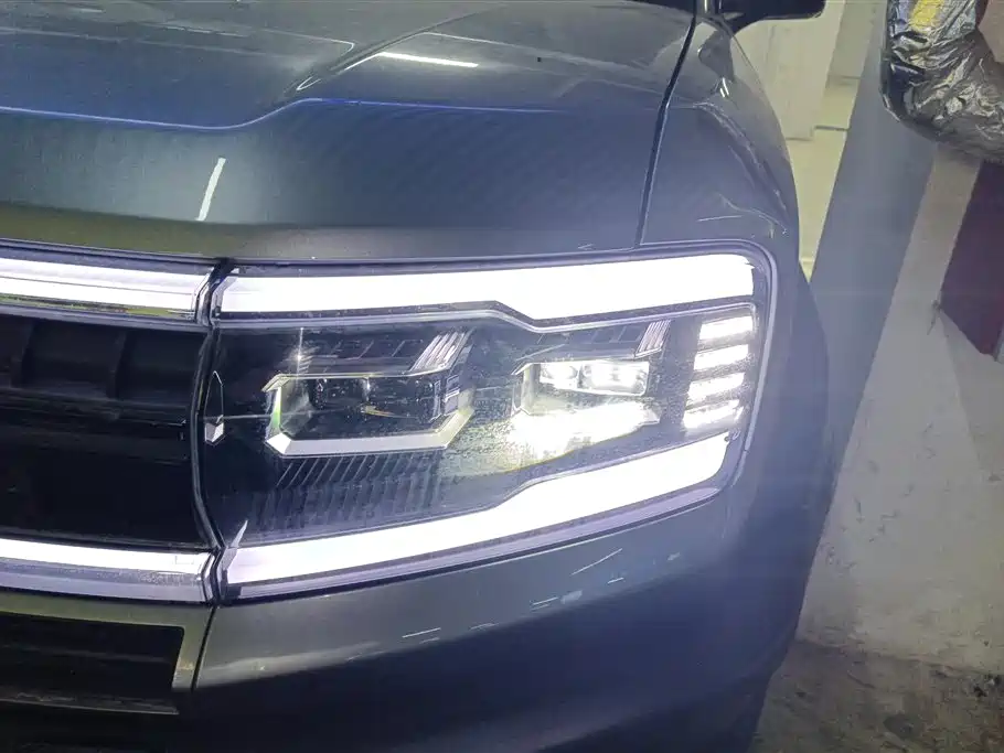 FANG CHENG BAO LEOPARD 5