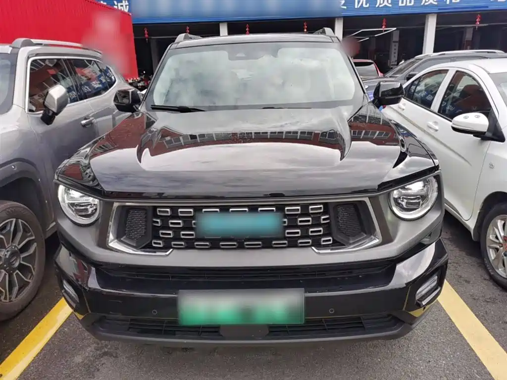 HAVAL  SECOND GENERATION BIG DOG NEW ENERGY