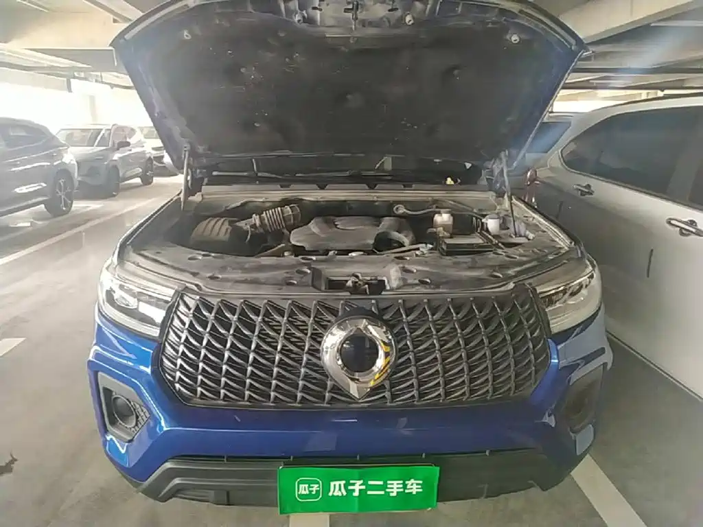 Great Wall Pao — миниатюра 16