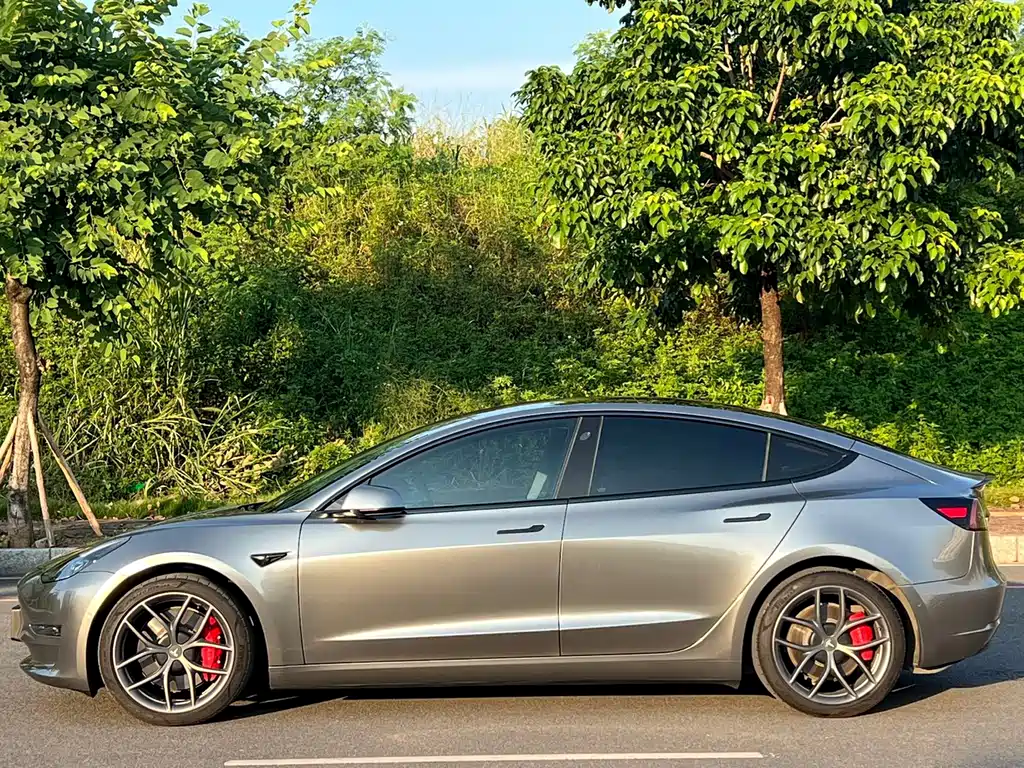 Tesla Model 3 — миниатюра 4