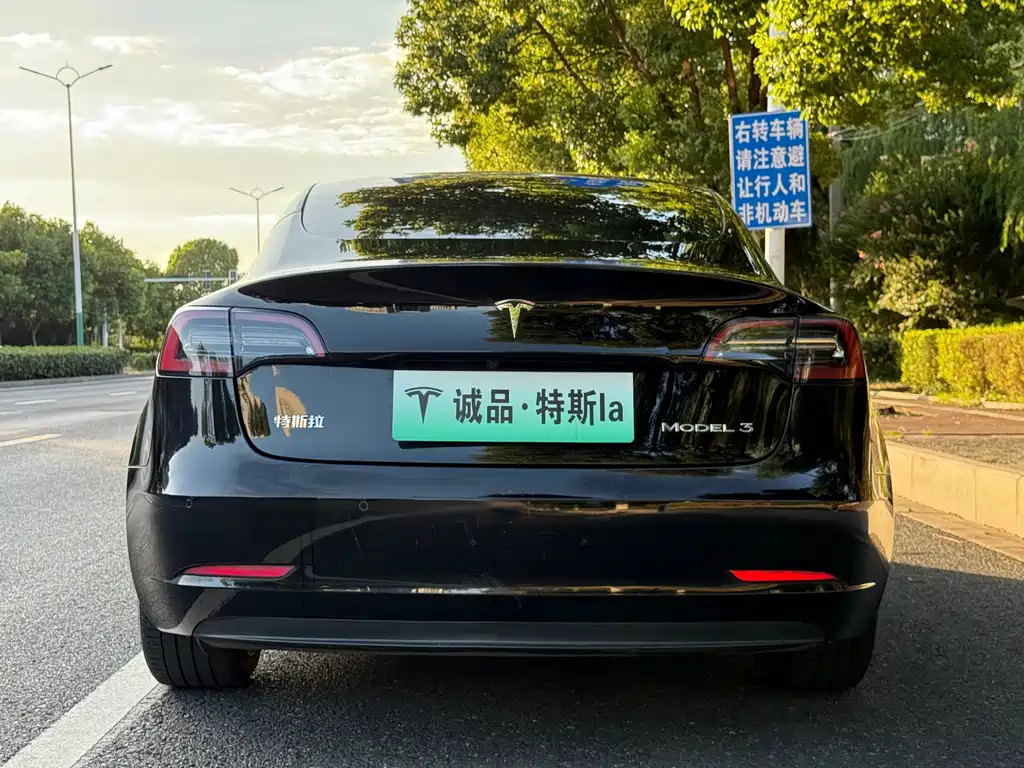 Tesla Model 3 — миниатюра 4