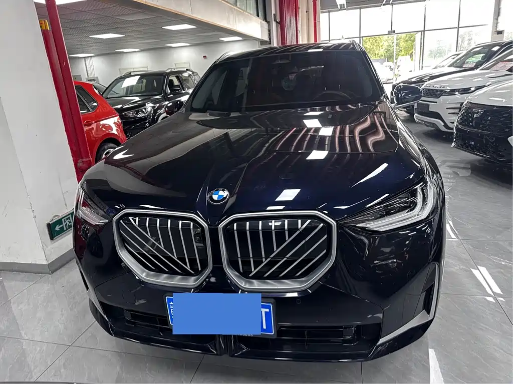 BMW X3 — миниатюра 2