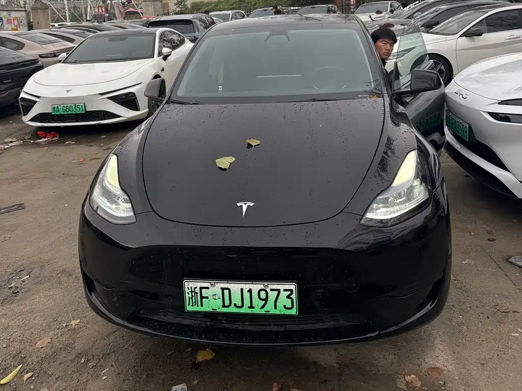 Tesla Model Y — миниатюра 2