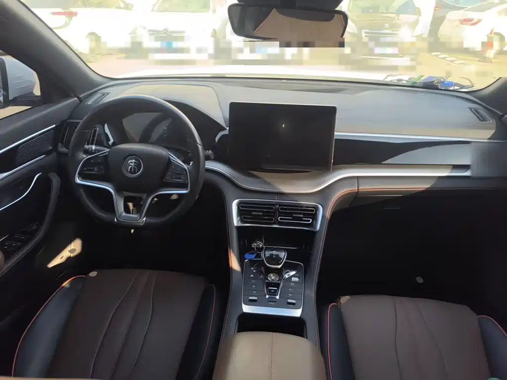 BYD PLUS — миниатюра 5