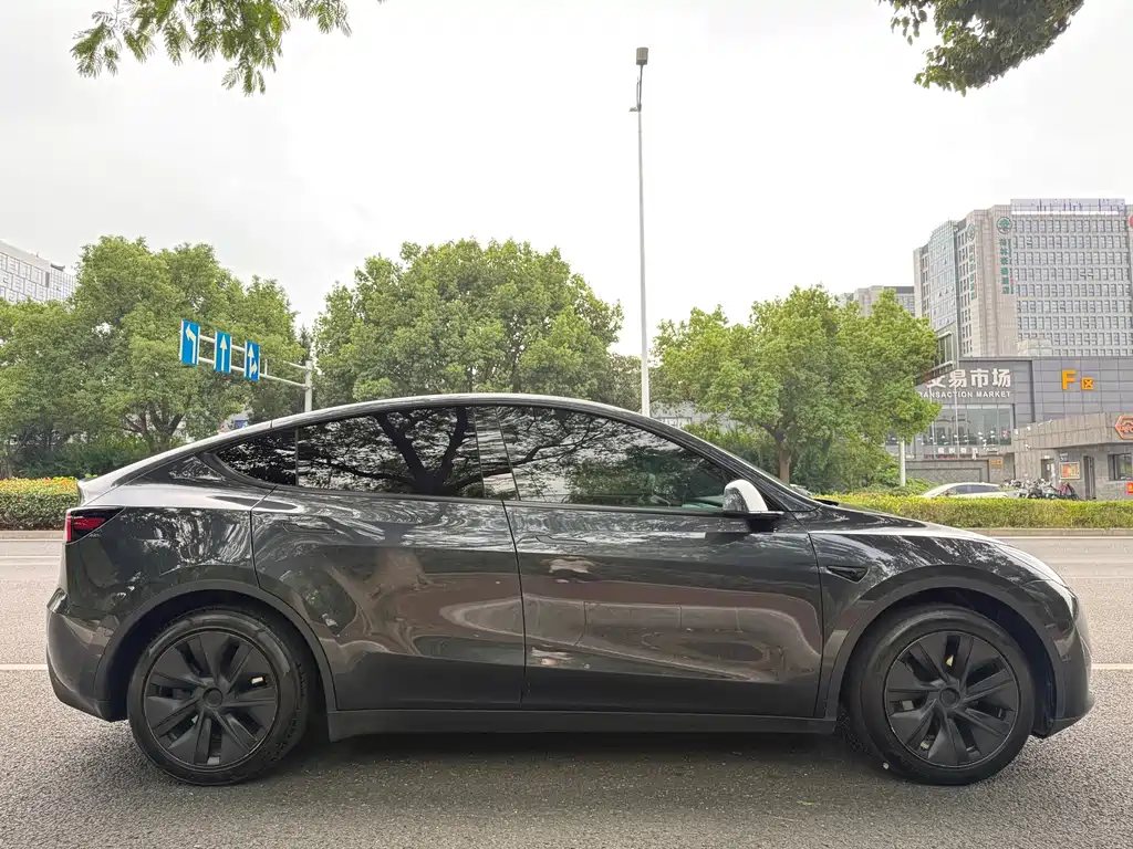 Tesla Model Y — миниатюра 6